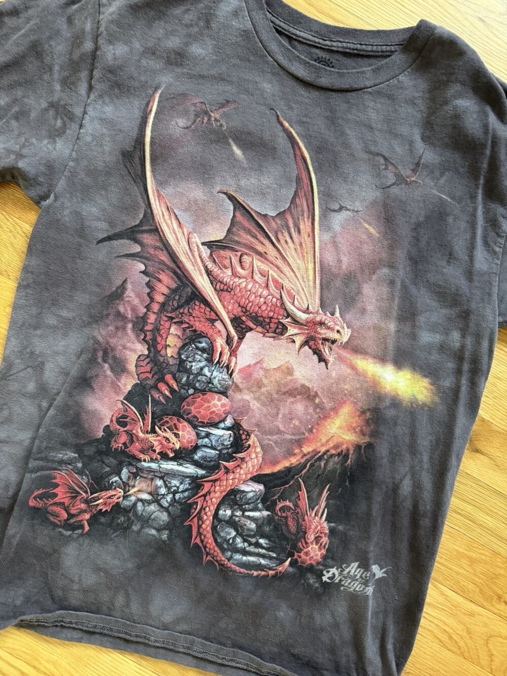 The Mountain Y2K Age Of Dragons Excalibur Tie Dye Mens Shirt Sz Medium Brown
